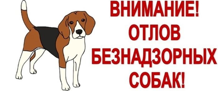 Отлов безнадзорных животных (собак).. Отлов безнадзорных животных (собак)..